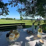 Nyuszifuelhaz Im Weinberg Mit Pool * Mencshely
