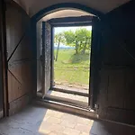 Nyuszifuelhaz Im Weinberg Mit Pool