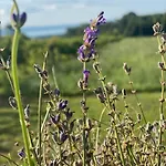 Дом отдыха Nyuszifuelhaz Im Weinberg Mit Pool