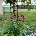 Nyuszifuelhaz Im Weinberg Mit Pool *