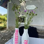 Nyuszifuelhaz Im Weinberg Mit Pool