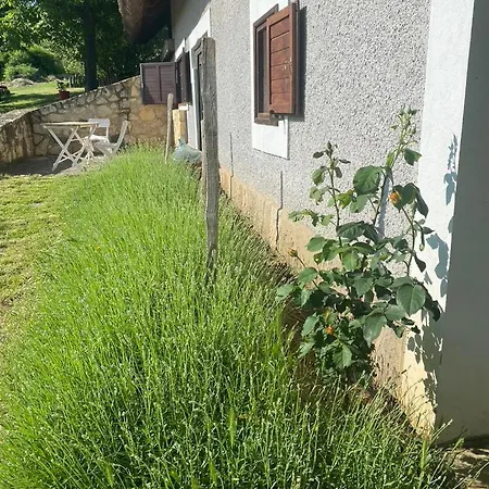 Nyuszifülház Im Weinberg Mit Pool Casa de Férias
