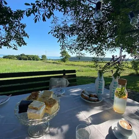 Nyuszifuelhaz Im Weinberg Mit Pool * Mencshely