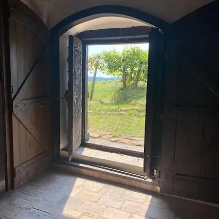 Nyuszifülház Im Weinberg Mit Pool