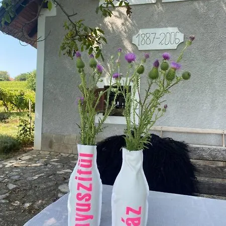 Nyuszifuelhaz Im Weinberg Mit Pool