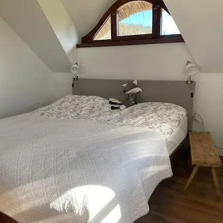 Nyuszifülház Im Weinberg Mit Pool *