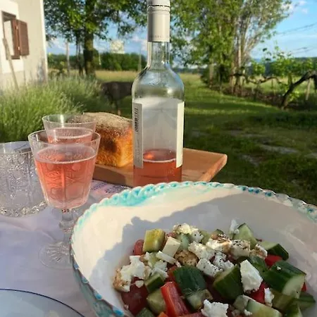 Casa de Férias Nyuszifülház Im Weinberg Mit Pool Mencshely