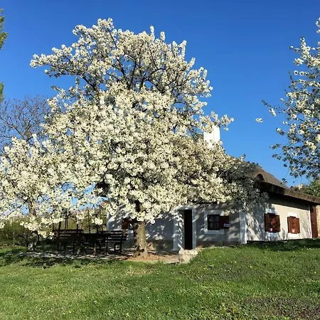 Nyuszifülház Im Weinberg Mit Pool Ferienhaus