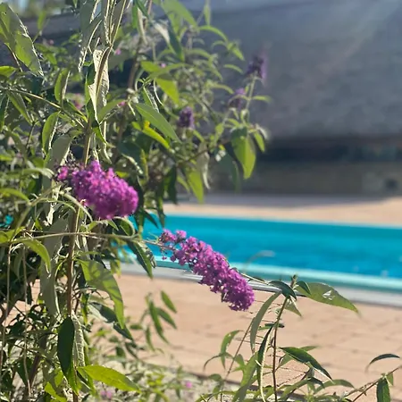 Nyuszifuelhaz Im Weinberg Mit Pool *