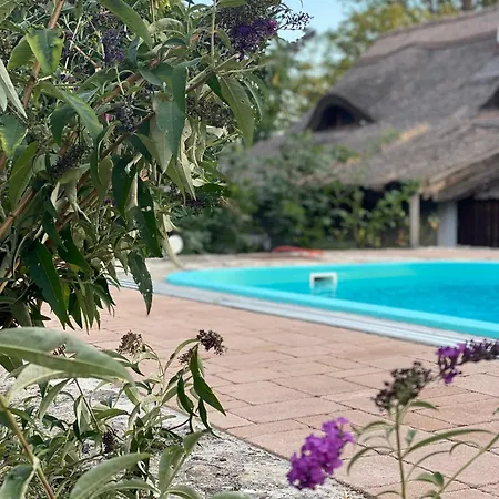 Nyaraló Nyuszifuelhaz Im Weinberg Mit Pool *