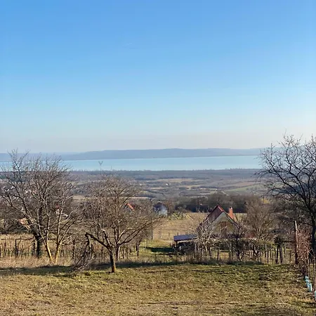 Nyuszifuelhaz Im Weinberg Mit Pool Nyaraló Mencshely