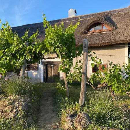 Nyuszifuelhaz Im Weinberg Mit Pool