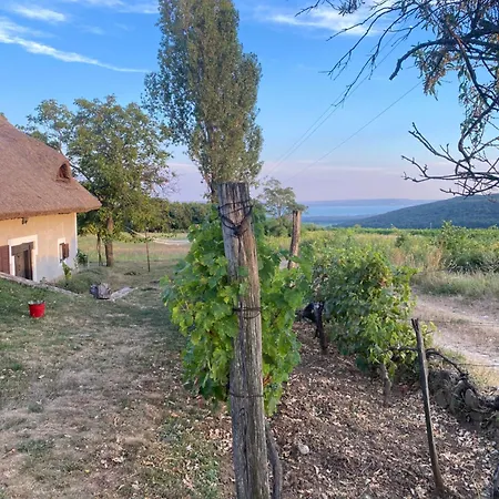 Nyaraló Nyuszifuelhaz Im Weinberg Mit Pool