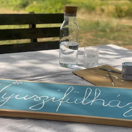 Nyuszifuelhaz Im Weinberg Mit Pool Nyaraló Mencshely