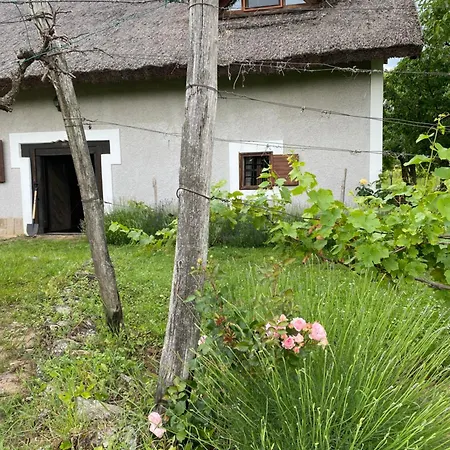 Nyaraló Nyuszifuelhaz Im Weinberg Mit Pool