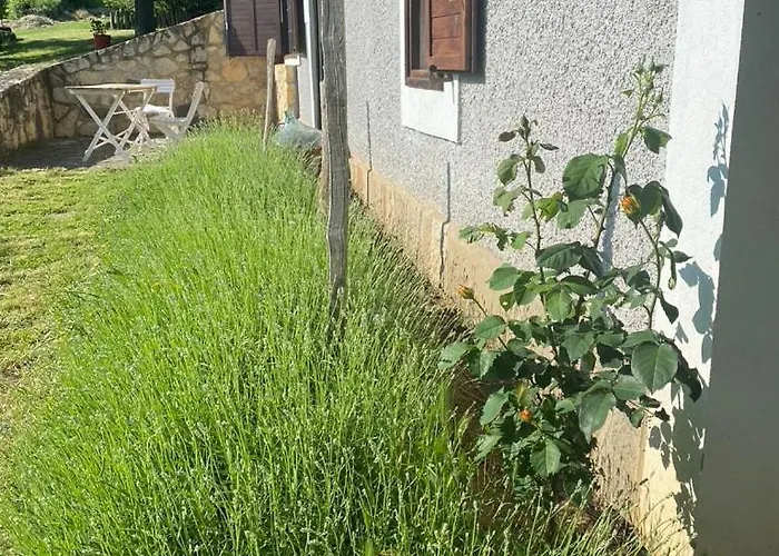 Nyuszifuelhaz Im Weinberg Mit Pool בית נופש