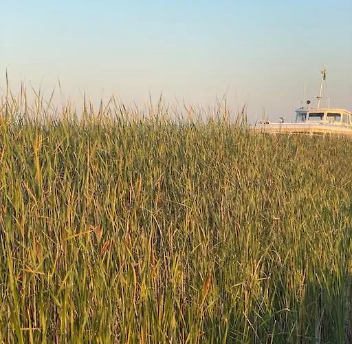 בית נופש Nyuszifuelhaz Im Weinberg Mit Pool Mencshely