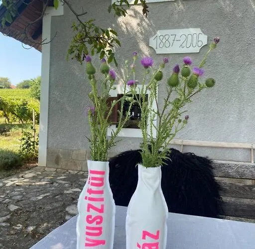 Nyuszifuelhaz Im Weinberg Mit Pool