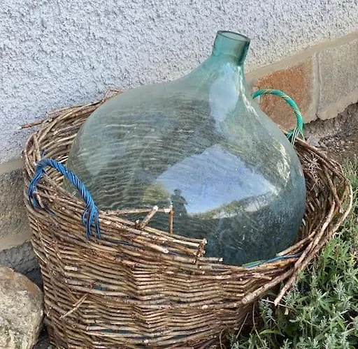 Nyuszifuelhaz Im Weinberg Mit Pool בית נופש