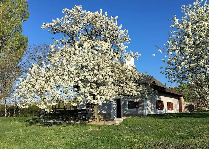 Nyuszifuelhaz Im Weinberg Mit Pool בית נופש