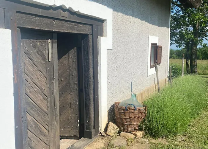 Nyuszifuelhaz Im Weinberg Mit Pool בית נופש