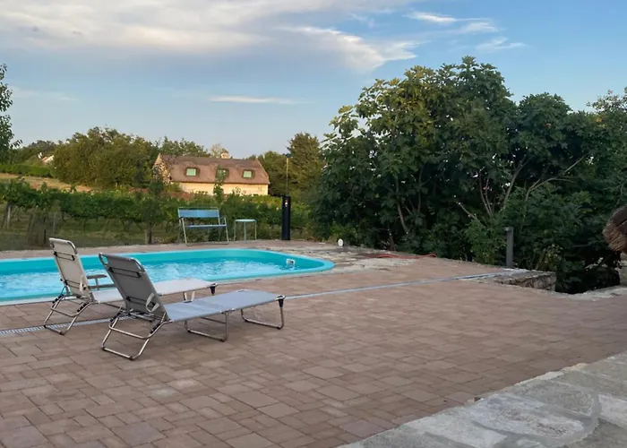 Nyuszifuelhaz Im Weinberg Mit Pool Mencshely